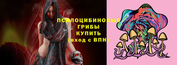 соль ск Алексин