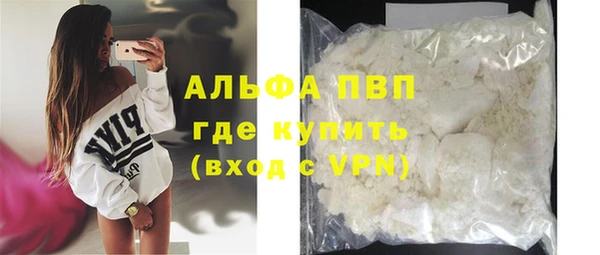 индика Нефтекумск