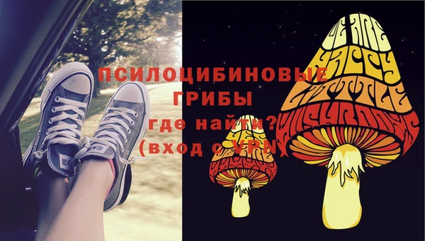 соль ск Алексин