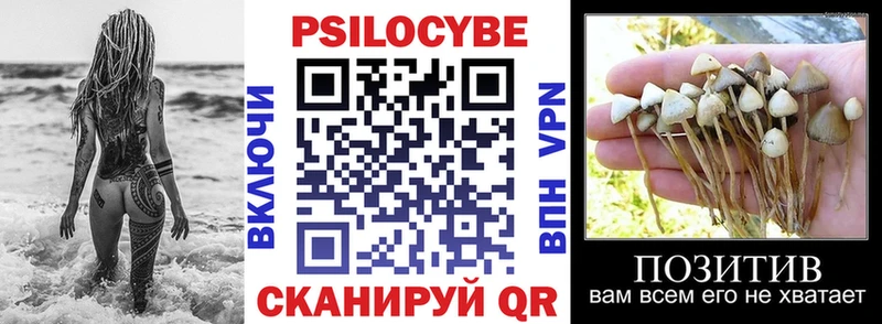 hydra ссылки  купить  сайты  Удачный  Псилоцибиновые грибы прущие грибы 